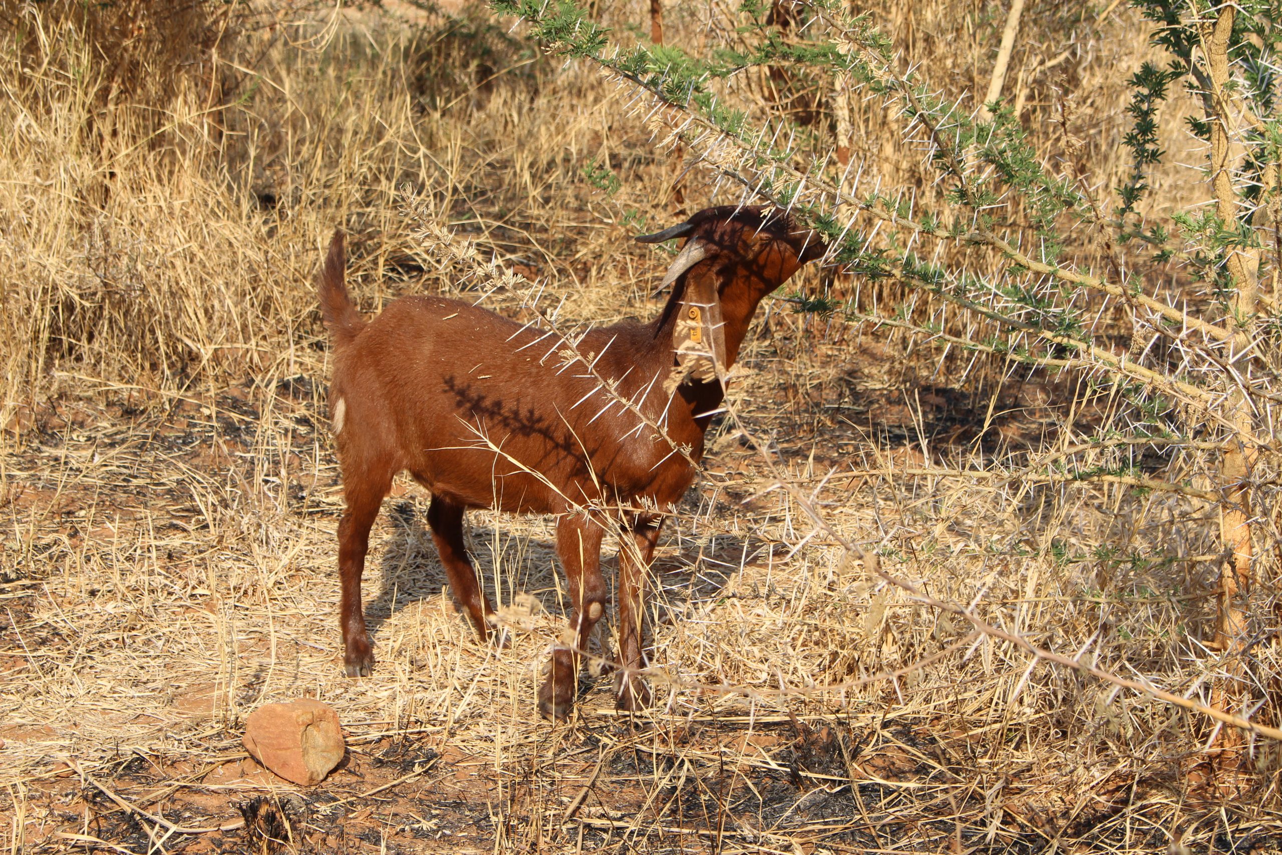 IMG_4043-scaled.jpg